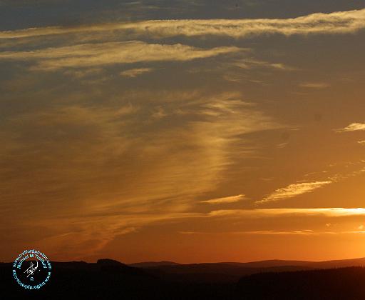 Scottish Borders 9P096D-215.JPG